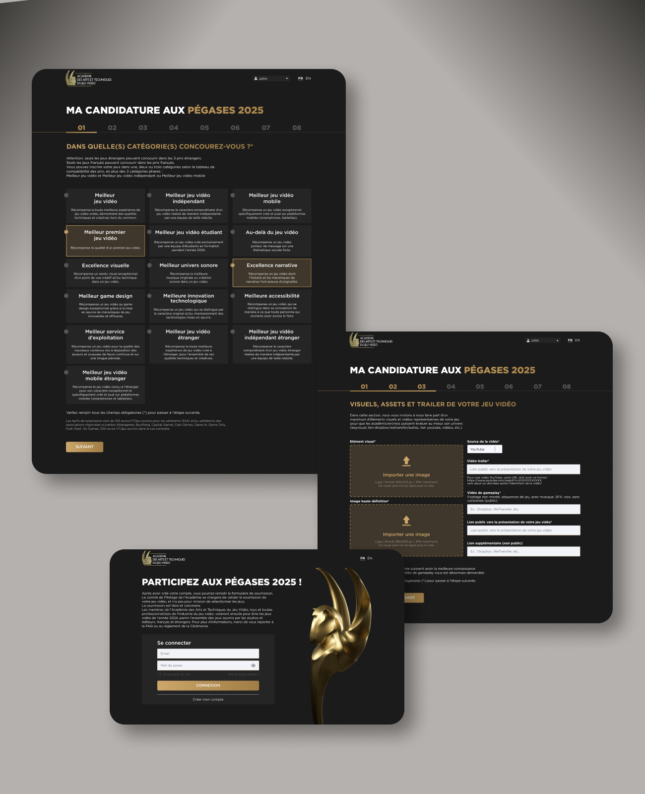 identité de marque - SNJV - maquette et site internet